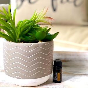 Doterra Star Anise oil - DISCONTINUED
